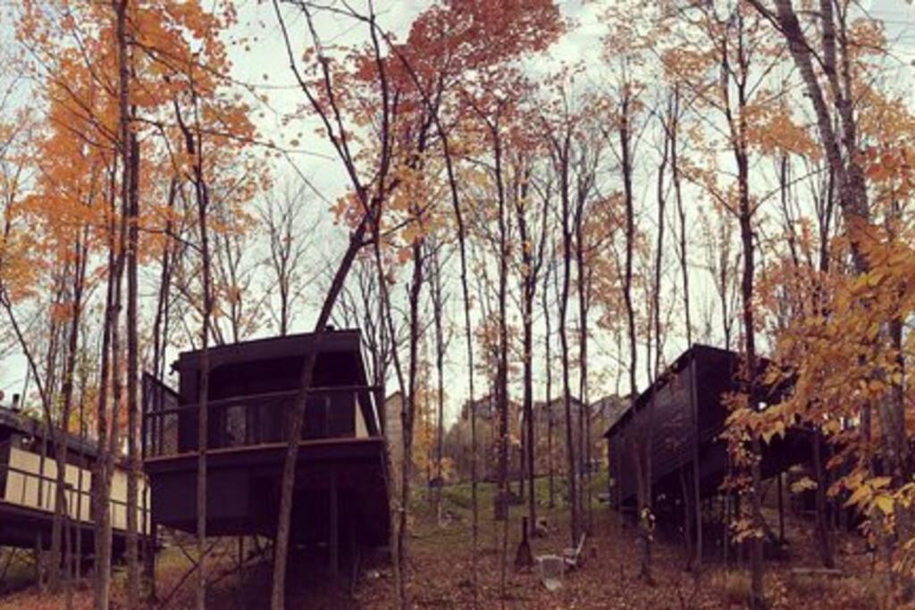 Cabin Sutton 252 - En Harmonie Avec La Nature! Villa Exterior photo